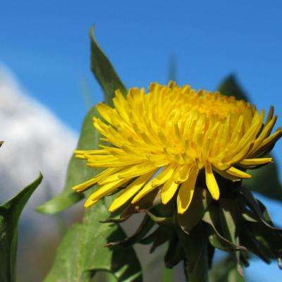 新澳门六开彩资料大全